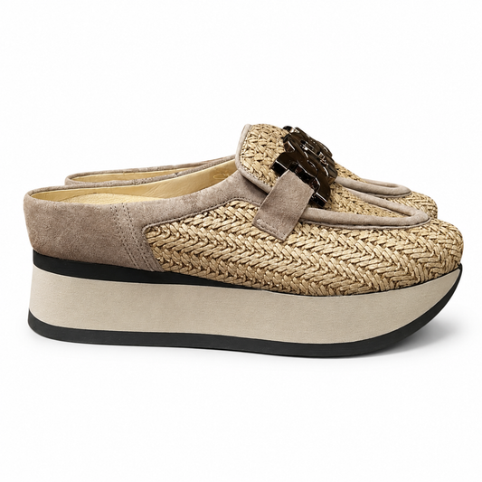 SOFTWAVES CELESTE PLATFORM MULE