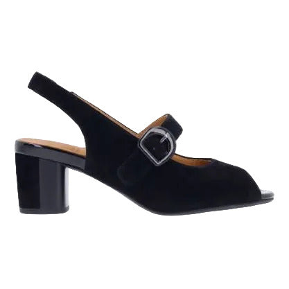 Black suede sandal with a buckle on a white background
